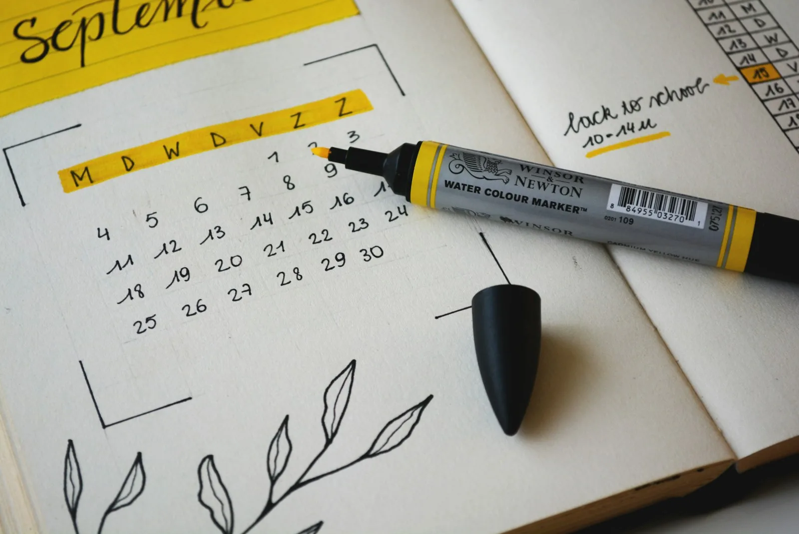 Image of reminders marked in calendar to check credit report regularly
